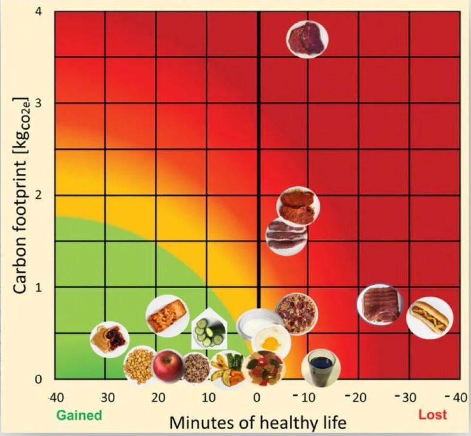 Un hot dog te quita 36 minutos de vida saludable