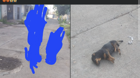Perrio