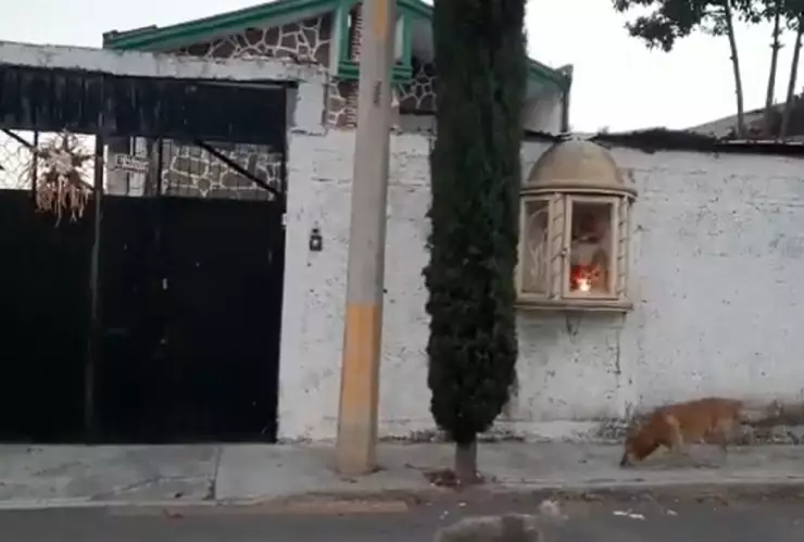 violento asalto en la colonia San Aparicio
