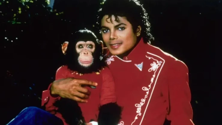 Bubbles, el chimpancé de Michael Jackson: ¿Dónde está hoy?