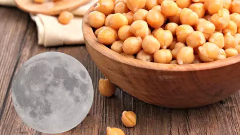 Científicos logran cultivar por primera vez plantas de garbanzo en suelo lunar