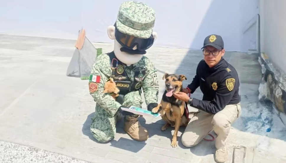 Cadete, el perrito que se robó el show en el Desfile Militar.