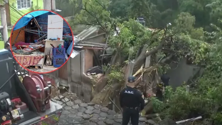 Árbol cae sobre casa en la Álvaro Obregón y la destruye por completo