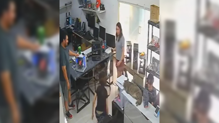Berrinche de ‘veinteañera’ por PC Gamer desata burlas en redes_ VIDEO.jpg