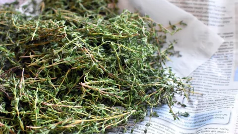 La hierba que te ayudará a mejorar la circulación de la sangre