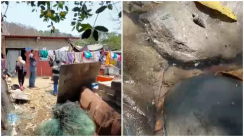 Vecinos de Manzanillo denuncian afectaciones a causa del humo del crematorio