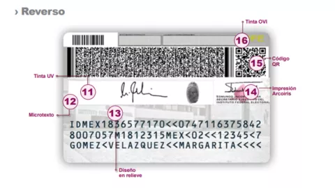 ¿Cuáles son los datos más importantes de la credencial de elector y cómo ubicarlos?