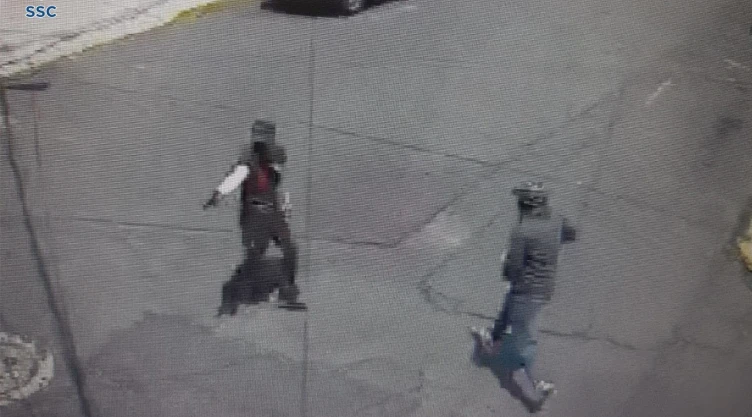 arma de fuego.jpg