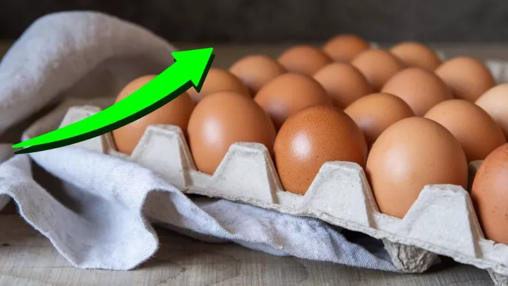 ¿Qué subió de precio en México el mes de febrero de 2025 por la inflación? (VIDEO)