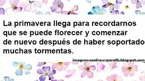 Imágenes del equinoccio de primavera con frase para desear buenos días