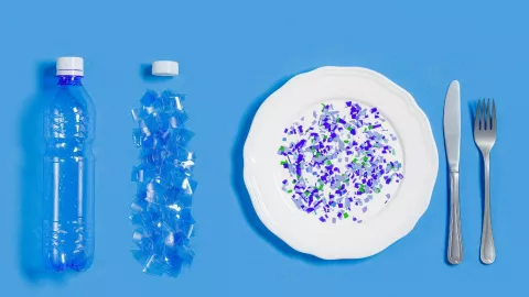 Los microplásticos están más presentes de lo que creemos en nuestras comidas: así puede evitarlos