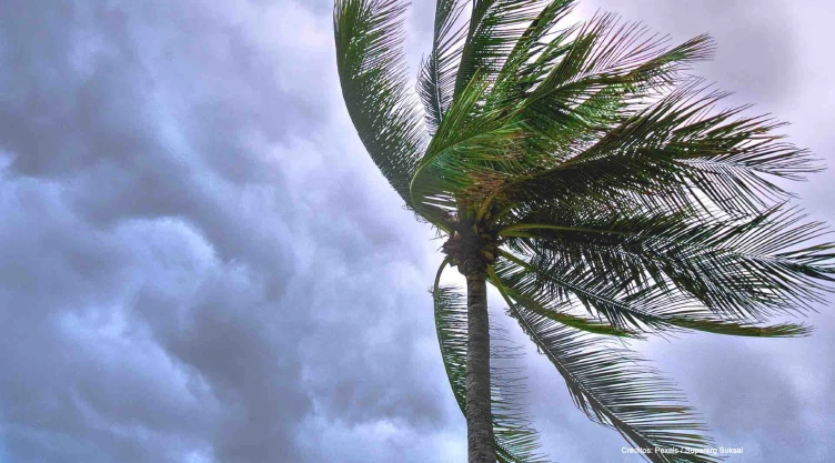 tormenta tropical.jpg