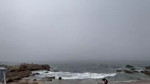 Neblina Mazatlán