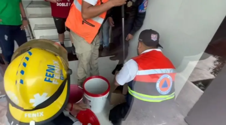 Encuentran serpiente dentro de un edificio de la colonia Doctores, CDMX