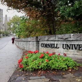 Universidad de Cornell.