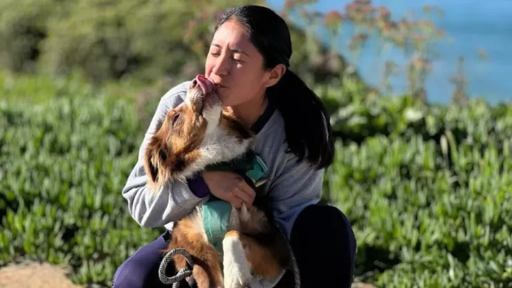 Kata perrita perdida