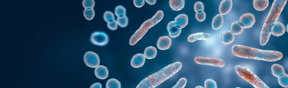 Resistencia antimicrobiana Flow.jpg