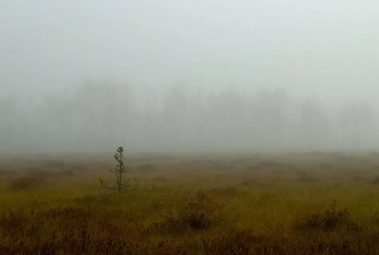 ¿Qué estados tendrán fuertes vientos y clima helado en México hoy 21 de diciembre