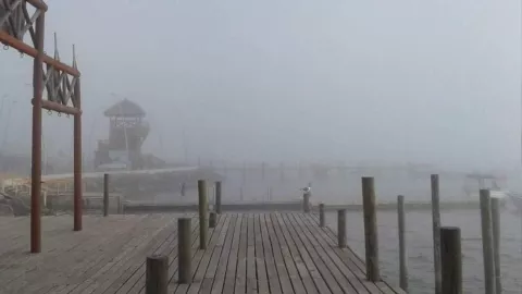 Niebla en Altata