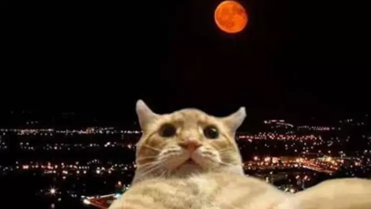 Eclipse lunar 2025 memes
