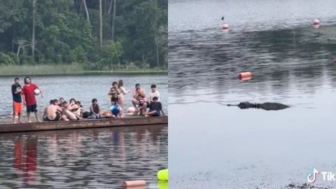 Cocodrilo acorrala a estudiantes en Texas