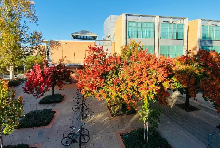 University of California, Riverside