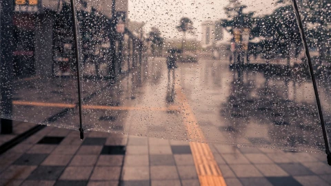 5 DÍAS DE LLUVIA EN TIJUANA.png