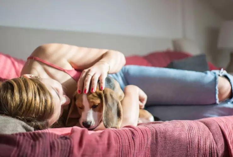¿Qué pasa si tu mascota duerme contigo en la cama?
