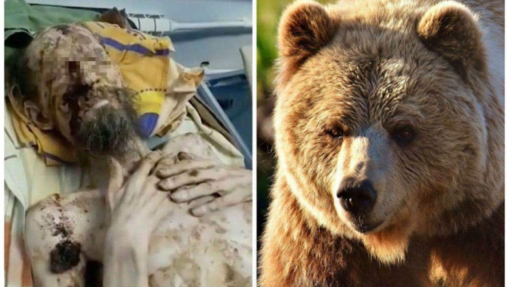 Rescatan con vida un mes después a hombre atacado por un oso
