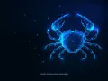 Cáncer cangrejo azul.jpg