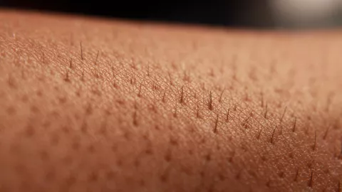 ¿Cuál es el ingrediente para eliminar el vello de los brazos sin irritaciones?