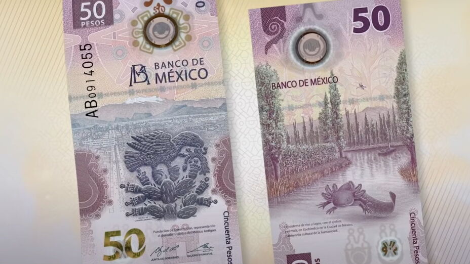 Billete de 50 pesos con ajolote se vende en 3 millones