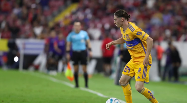 Marcelo Flores, Tigres