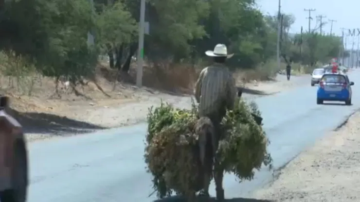 Campesinos afectados por sequía en Guanajuato