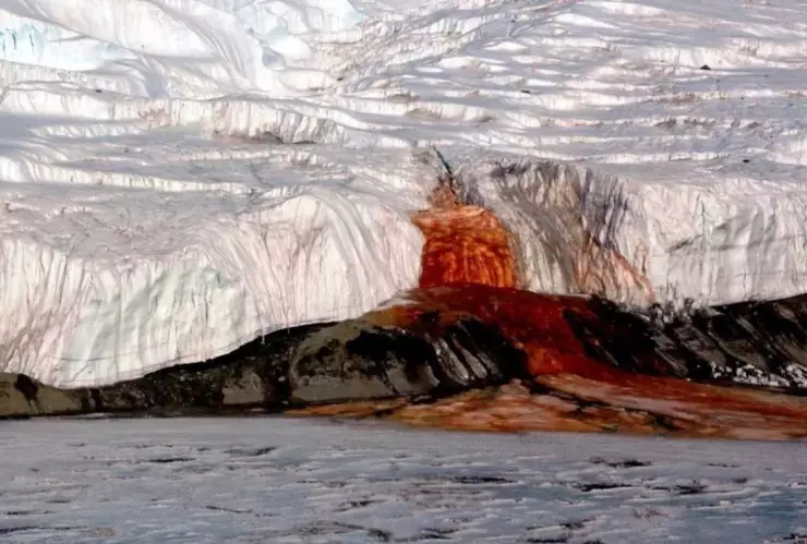 ¿Qué son las cataratas de sangre en la Antártida