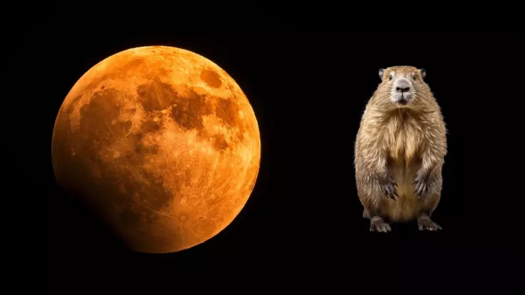 luna-del-castor-dia-hora-lugar-ver-mexico.jpg