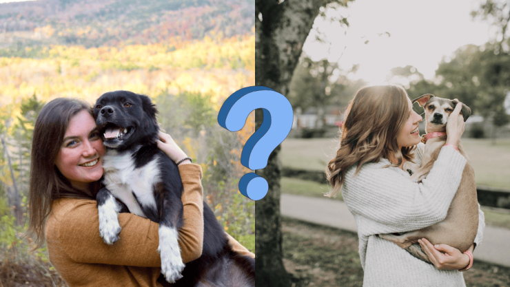 3 formas seguras de cargar a tu perro sin lastimar su columna.png