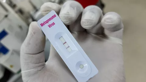Metapneumovirus y similudes con COVID 19