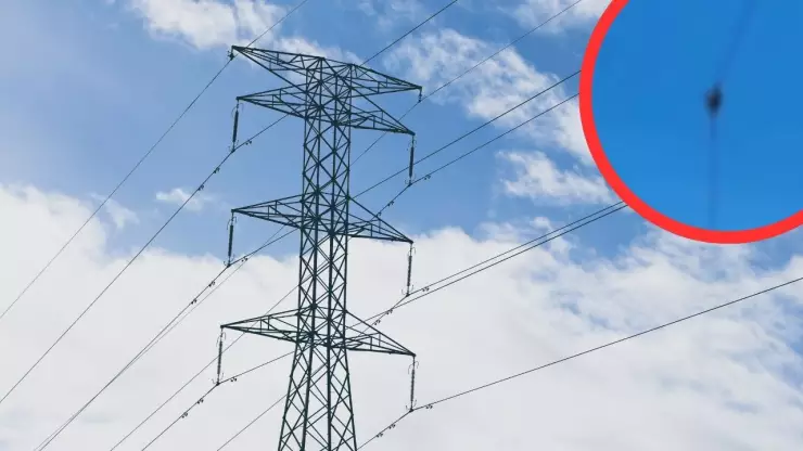 Tragedia en torre de transmisión: dos obreros pierden la vida durante desmantelamiento