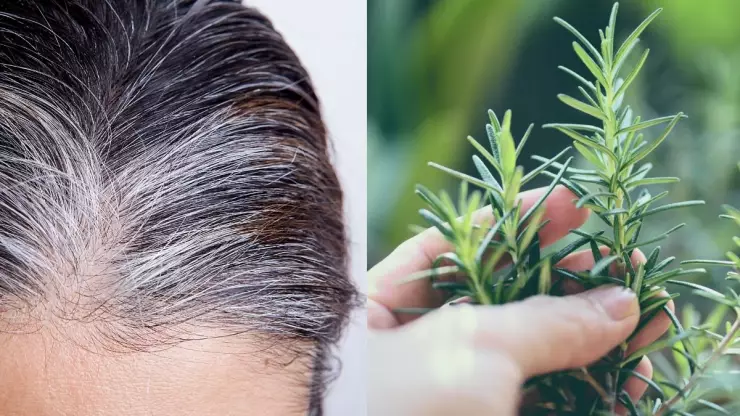 /estilo-de/como-cubrir-las-canas-con-bicarbonato-y-romero-guia-paso-a-paso-del-remedio-natural