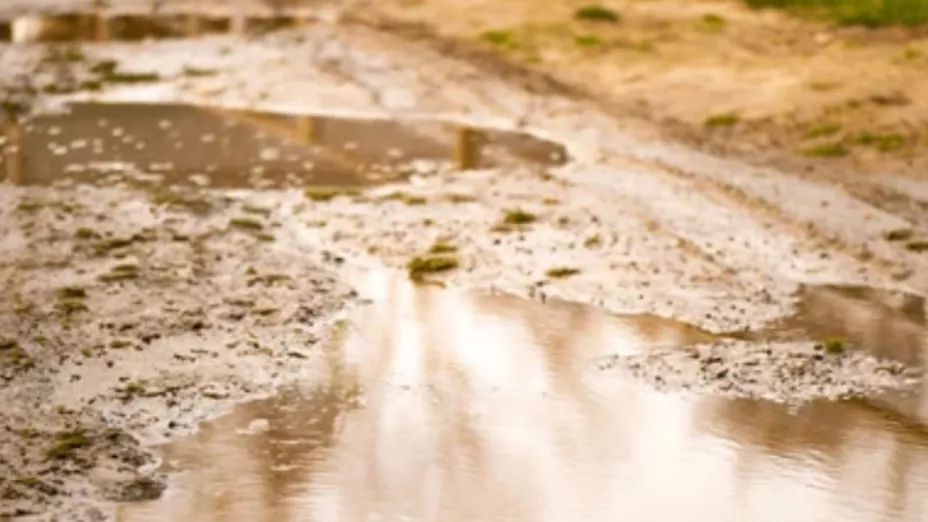 1280 x 720 px (80).jpg