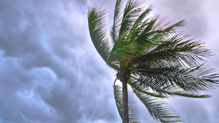 Esta será la trayectoria de la tormenta tropical “Pilar” en los siguientes días