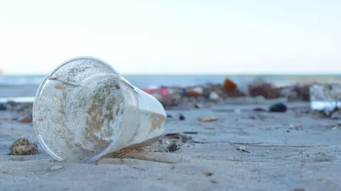 Cuidar el Medio Ambiente y el mar