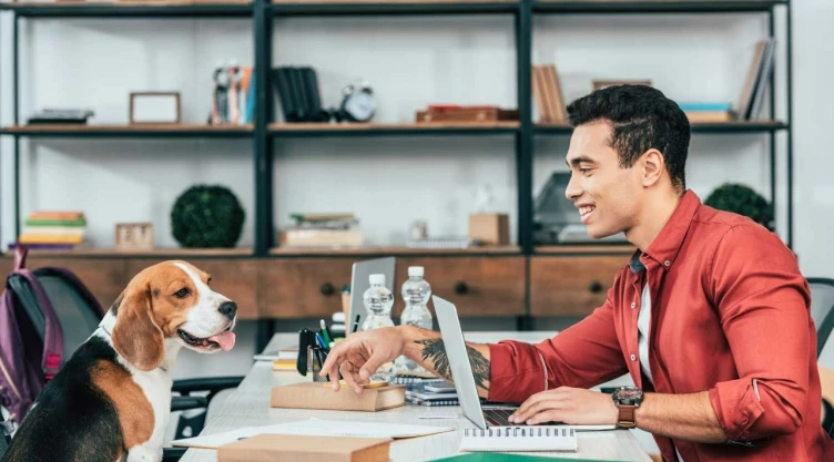 ¿Oficinas pet-friendly? Diputado de Morena propone que empleados lleven mascotas al trabajo