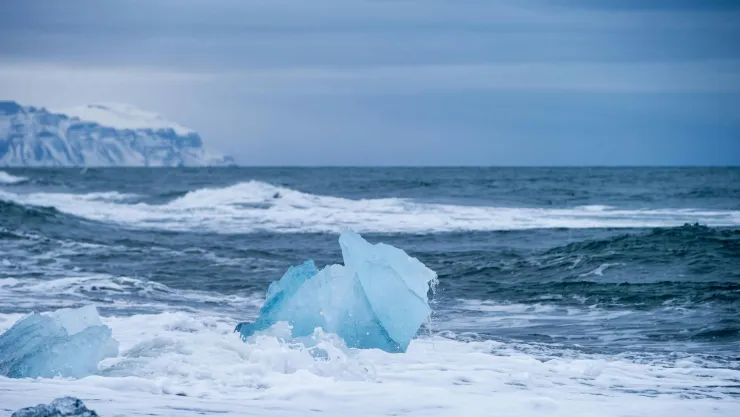 ¿En qué año el Ártico se quedará sin hielo por el calentamiento global Esto dicen científicos
