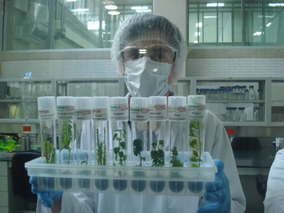 Impulsarán Centro Nacional de Recursos Genéticos