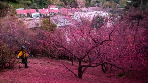 Polvo contra incendios en California