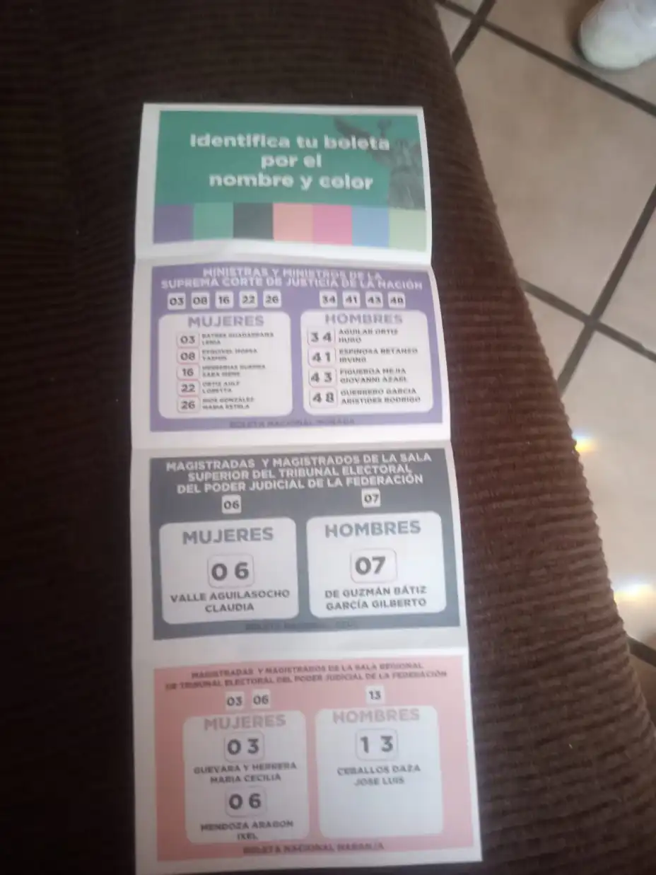 acordeón judicial.jpeg