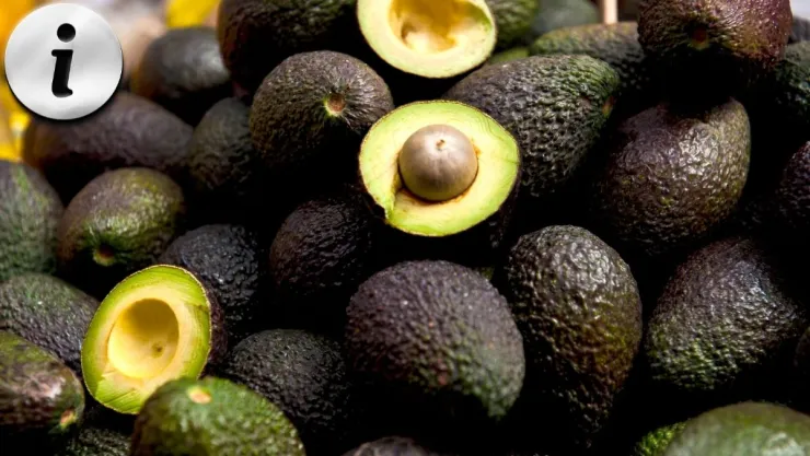 Con estos trucos podrás conservar el aguacate siempre fresco.jpg