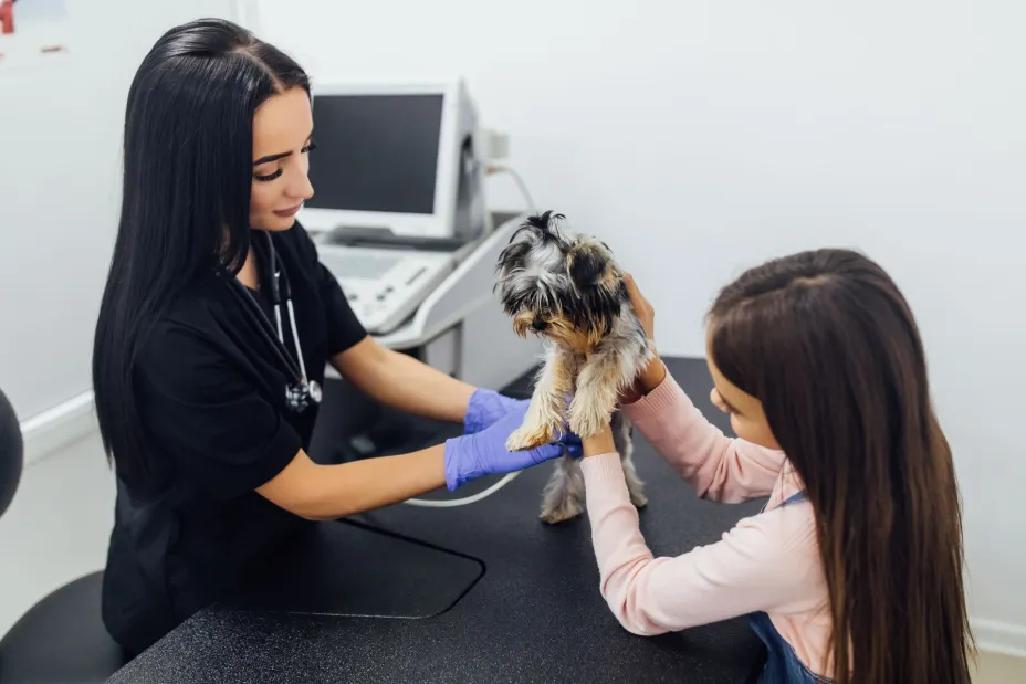 Veterinario.jpg
